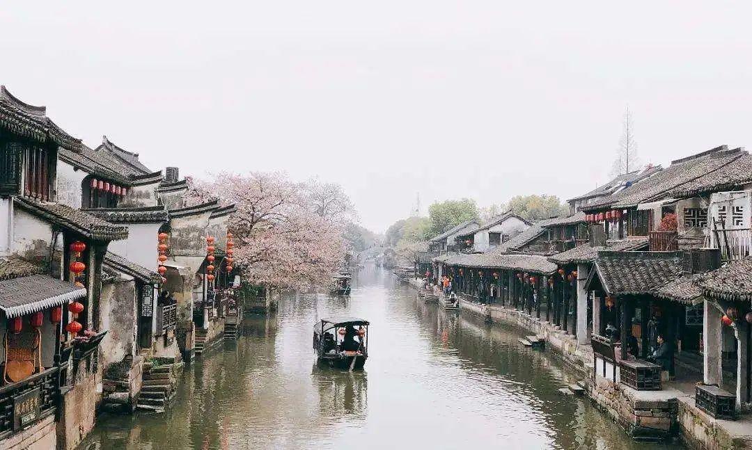 植物大战僵尸21